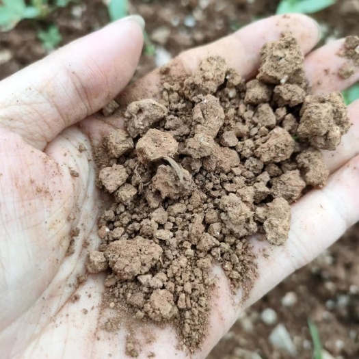 秀山秀山县兰桥镇230亩红沙种植用地300一亩，道路到土地，水源