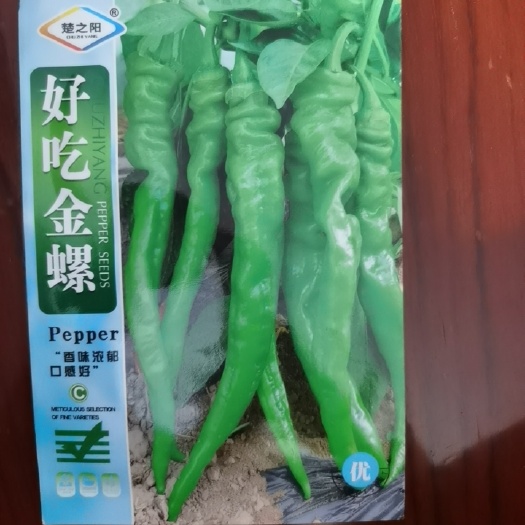 汕头辣椒种子-螺丝椒早熟，挂果多青果绿色，油亮