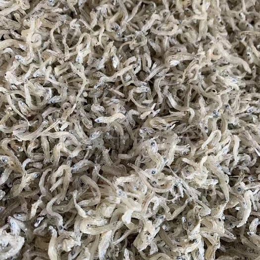 丁香鱼小银鱼海燕鱼银鱼干海银鱼干海鲜干货