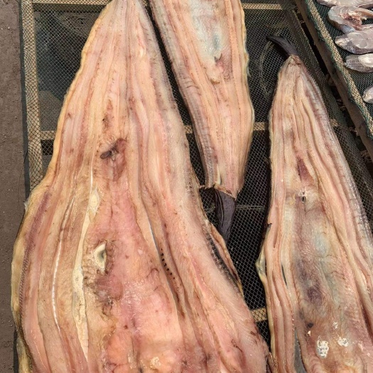 海口鳗鱼干 鱼干 淡晒鳗鱼500克/1000克咸鱼海鳗
