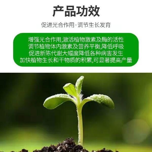 含氨基酸水溶肥生根壮苗绿叶解药害蔬菜花卉果树大田通用型叶面肥