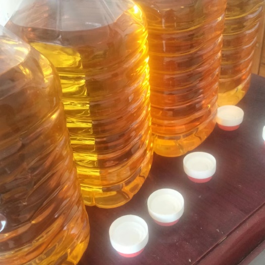 武汉今年新菜籽油菜籽出油率高纯黑菜籽