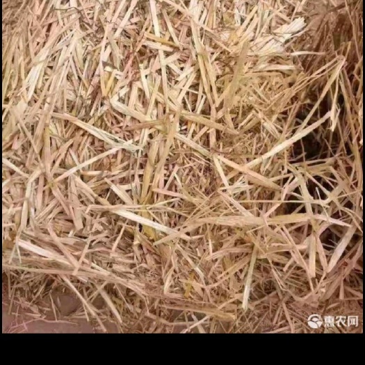 曲阜市小麦秸秆