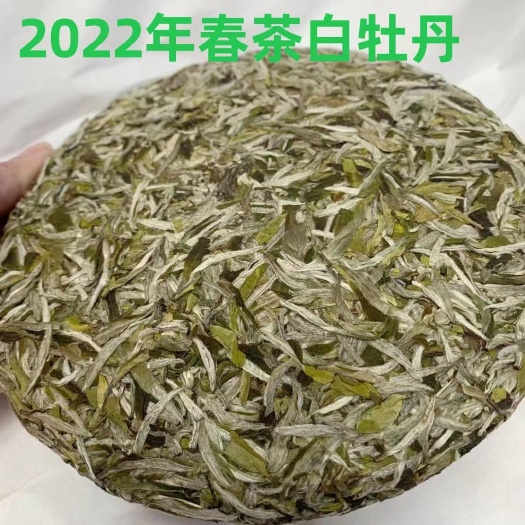 福安市2022年福鼎牡丹 头采花香白牡丹饼300g白茶饼福建茶叶厂