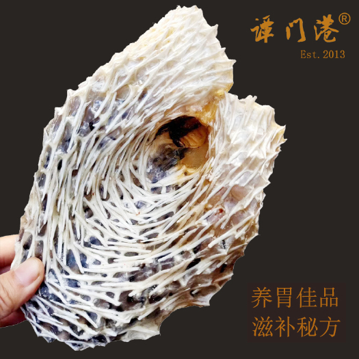 海口海刺龟皮刺豚皮 刺龟鱼皮海胆皮海产干货海南特产