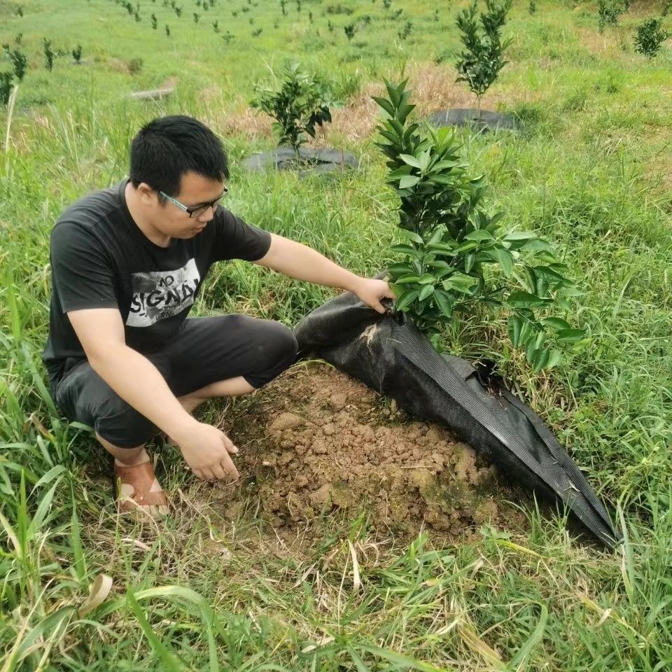 防草布单片地布开口打孔除草布盖草抑草透气保湿可降解果树果园