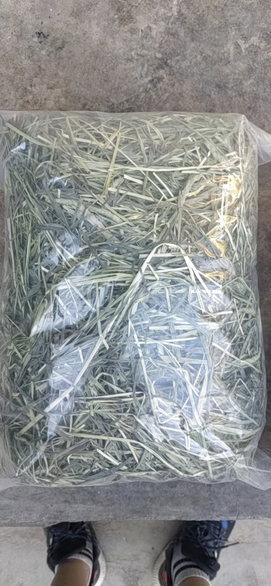 晒干提摩西草批发零售 兔兔荷兰猪等萌宠的食粮