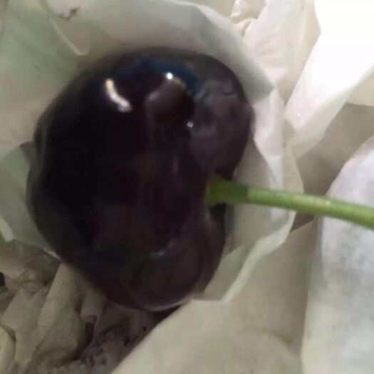 宝鸡套袋布鲁克斯，开始对外装车，基地直供，品质保证