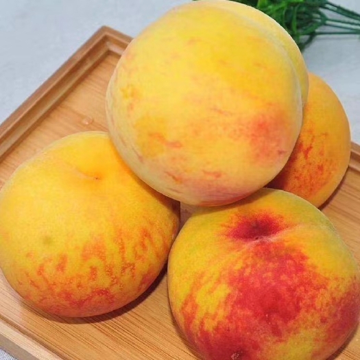 砀山县砀山黄桃 45mm以上 3 - 4两