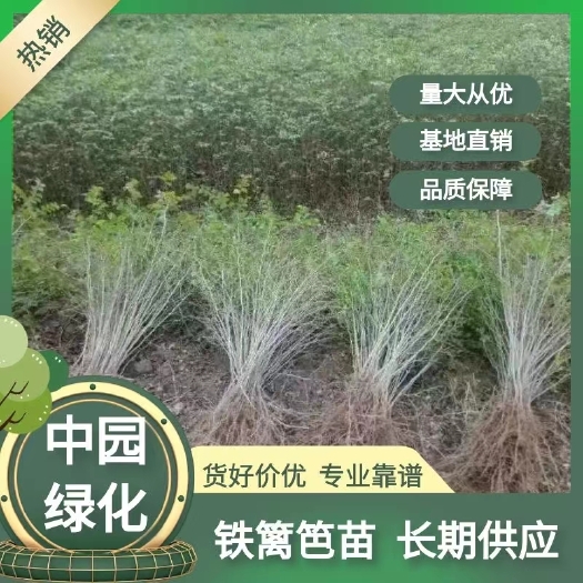 阳朔县铁篱笆