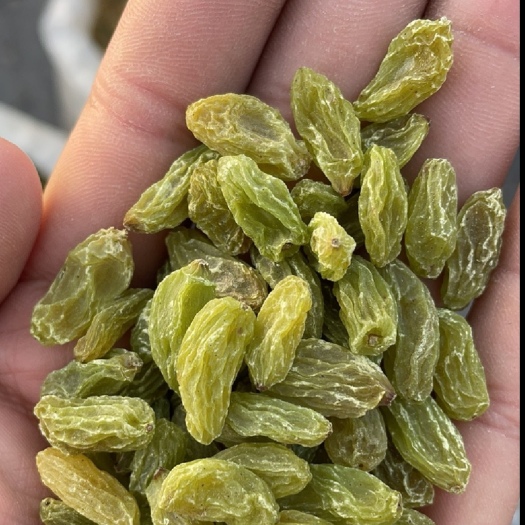 吐鲁番包邮款新疆绿宝石葡萄干中颗粒货源充足价格美丽