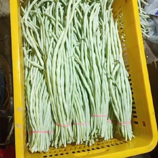 桂平市肉豆角，白豆角批发零售