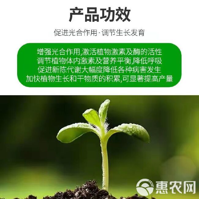 含氨基酸水溶肥生根壮苗绿叶解药害蔬菜花卉果树大田通用型叶面肥