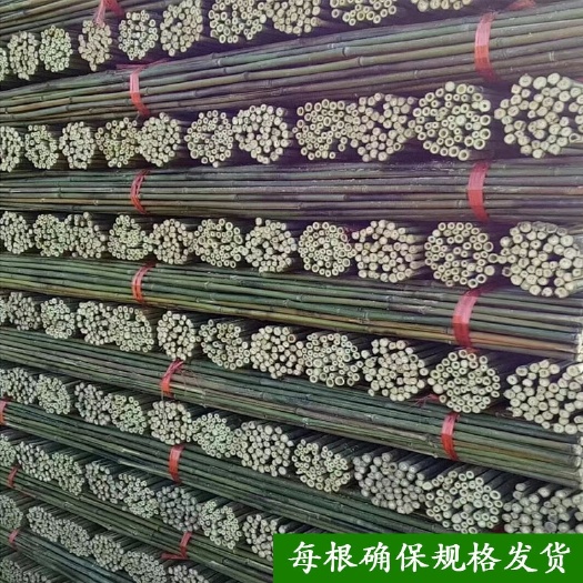 桃源县菜架竹 南竹 麻竹大批量供应优质各种大小竹子