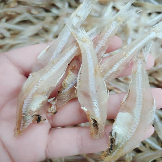 海口海南深海白凡鱼 银鱼干 公干鱼干,鱼干丁香鱼干大银鱼去头