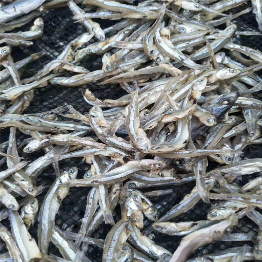 海口丁香鱼干小银鱼干小鱼干淡干海鱼无盐小鱼仔海鲜干货海南特产