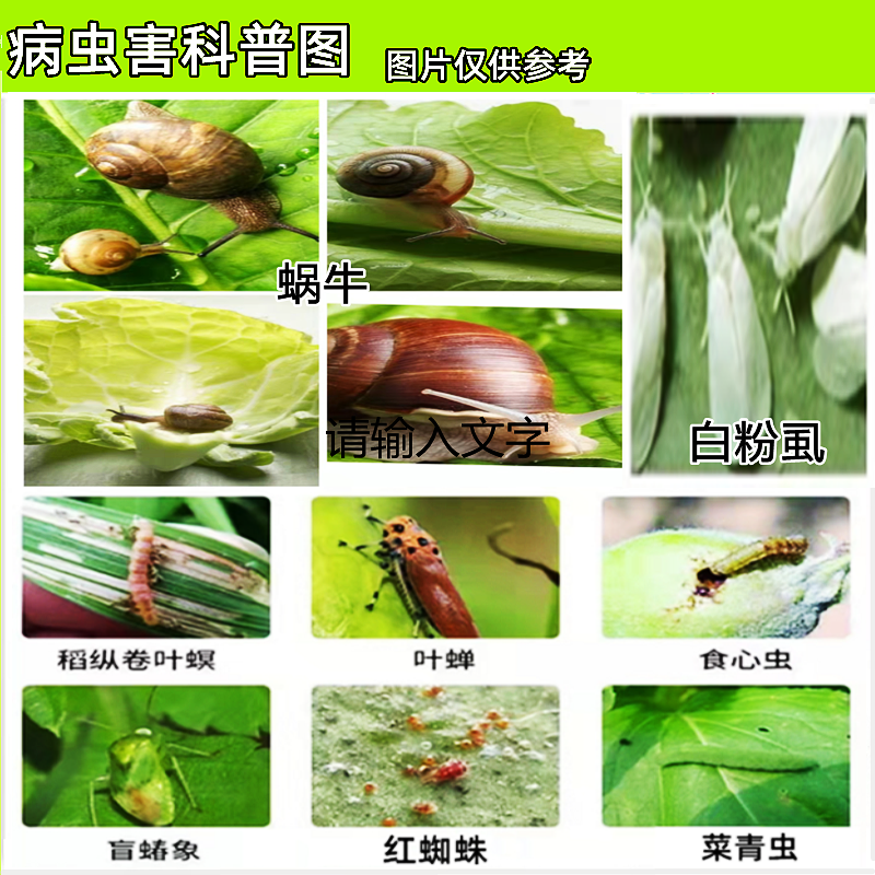 四聚乙醛杀蜗牛药颗粒剂