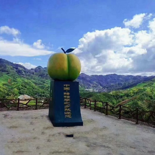 贵阳六马蜂糖李