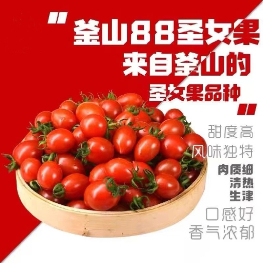 莘县正宗釜山88