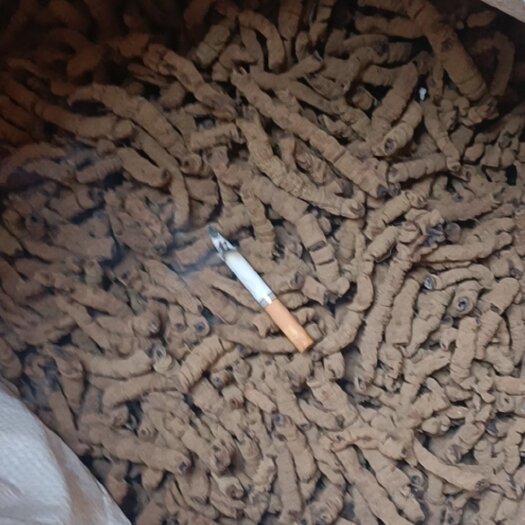 德庆县巴戟天圆肉（大）