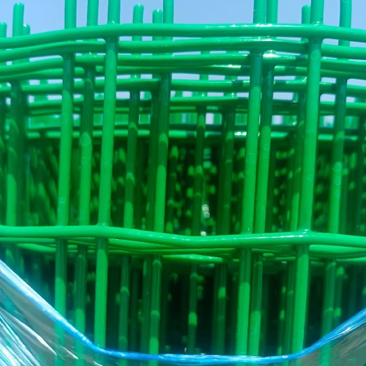 安平县荷兰网，工程专用荷兰网，圈地网，围栏网