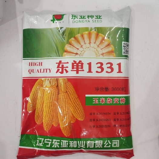 长沙玉米杂交种东单1331饲料玉米种高产抗病抗倒不秃顶籽粒深株型