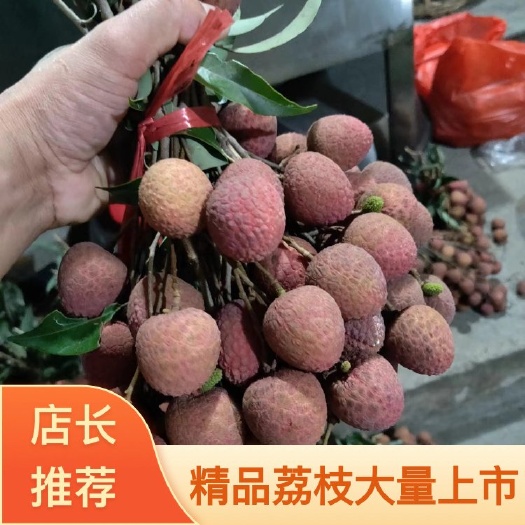 荔枝  黑叶荔枝 乌叶荔枝  福建荔枝产地直发 价格便宜