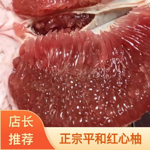 平和红心柚 三红柚 价格便宜 包甜 产地直发
