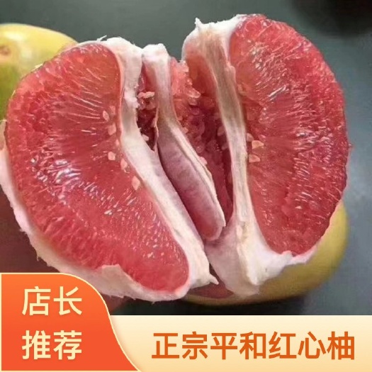 平和红心柚  柚子  三红柚  葡萄柚  产地直销