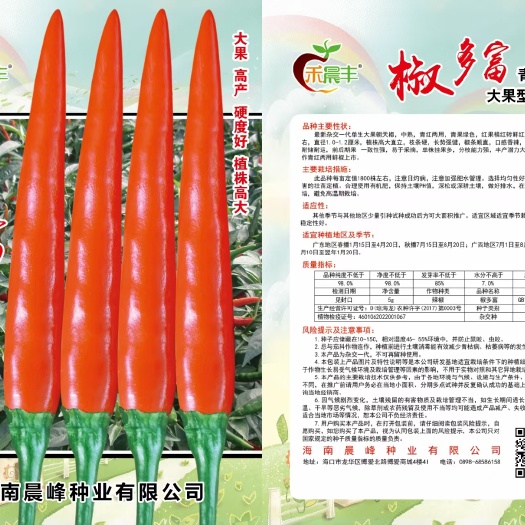 海口青红两用单生大果朝天椒植株旺盛硬度好抗病强，品质保证厂家直销