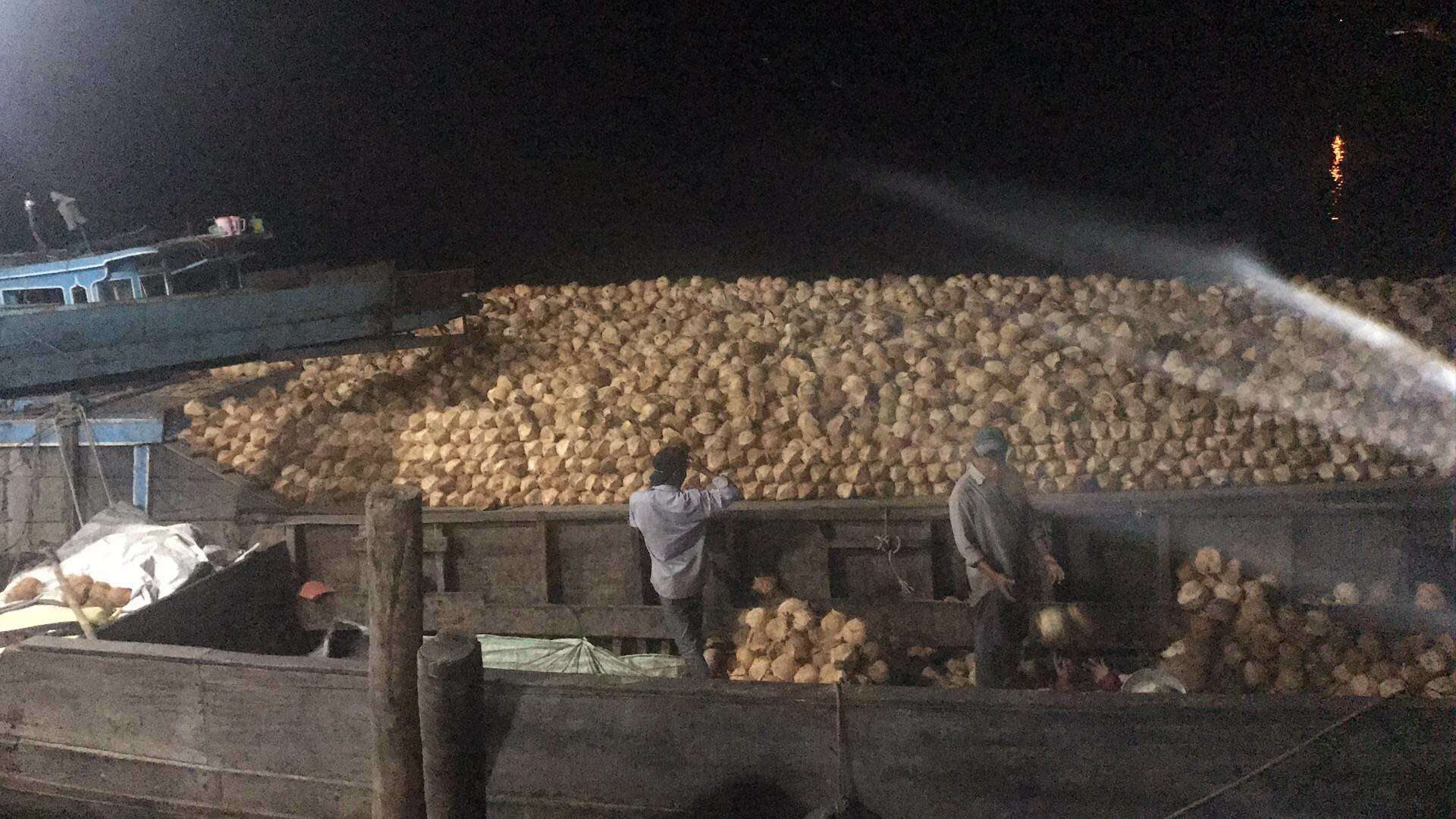 清补凉榨奶专用 老椰子椰子碗毛椰子脱毛椰子碗