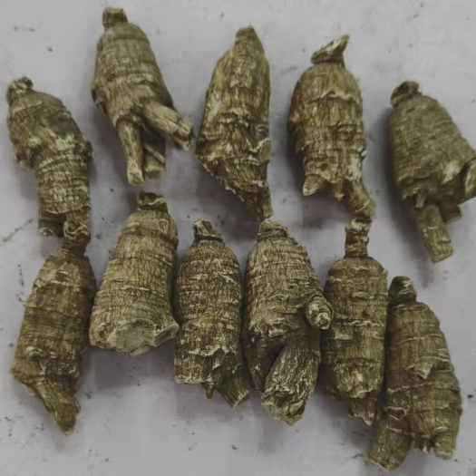 广州花旗参原丛西洋参15克一斤