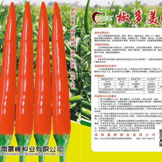 海口耐寒单生大果型朝天椒早熟不早衰硬度好抗病好品质保证厂家直销