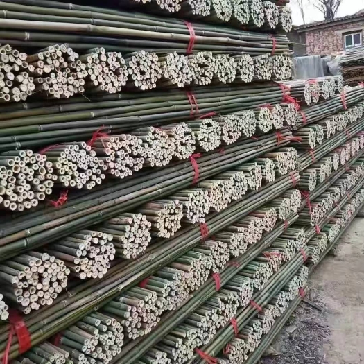 桃源县菜架竹 南竹 麻竹大批量供应优质各种大小竹子