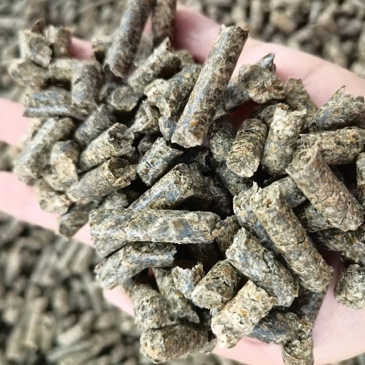 天津埃及甜菜粕（天津提货可带票）