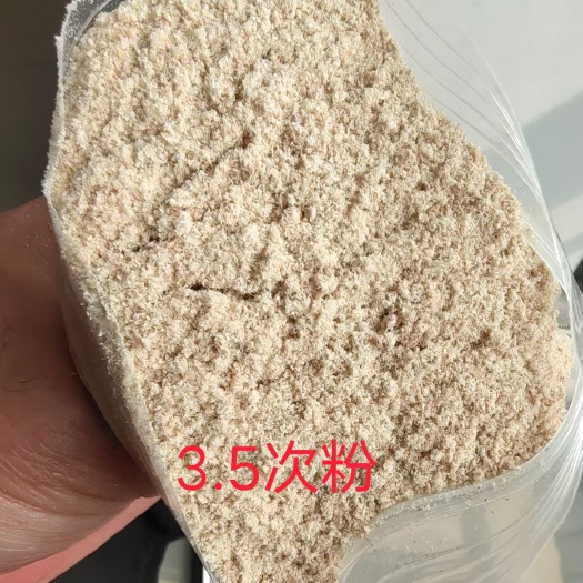 石家庄小麦次粉3.0－5.0品种齐全工厂直供