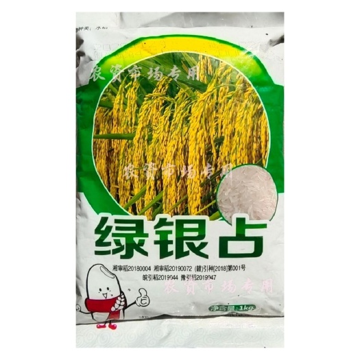 华容县绿银占常规一季水稻种子分枝力强 生长势强 谷粒长型 生育期1