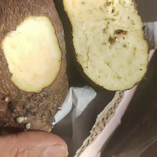 新平县黄心药用。千金藤。