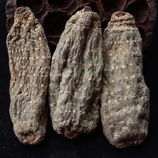 【多仓发货】乌天麻 干货小草坝乌天麻 天然中药新鲜干货