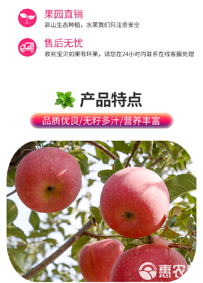 【拒绝假冒】洛川苹果产地发货陕西红富士新鲜脆甜多汁