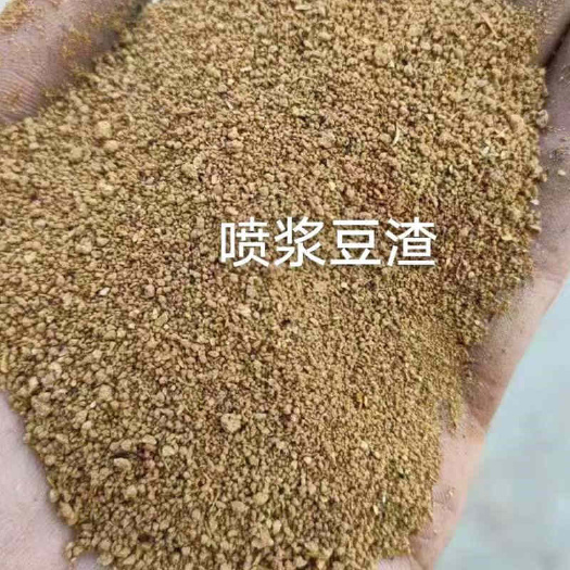 济南喷浆豆渣 养殖饲料添加替代豆粕 烘干豆渣