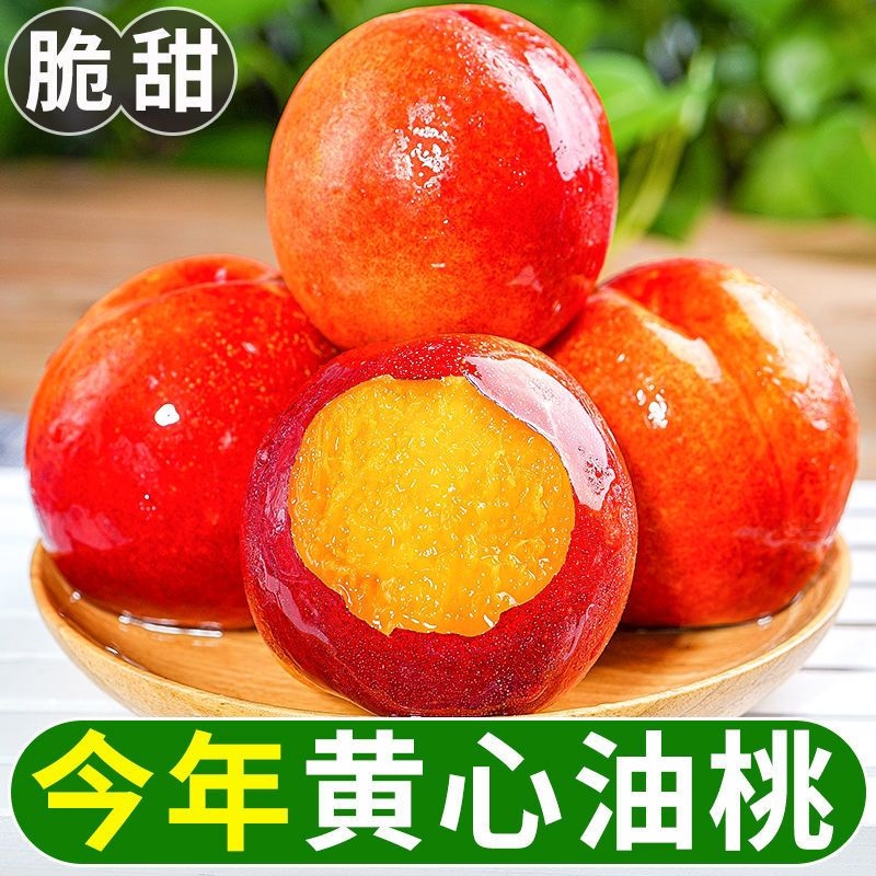 临猗县【甜】现摘黄心油桃3/5/10斤水果新鲜黄非水蜜桃毛桃脆桃