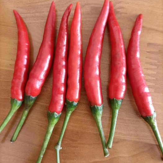 昆明小米椒