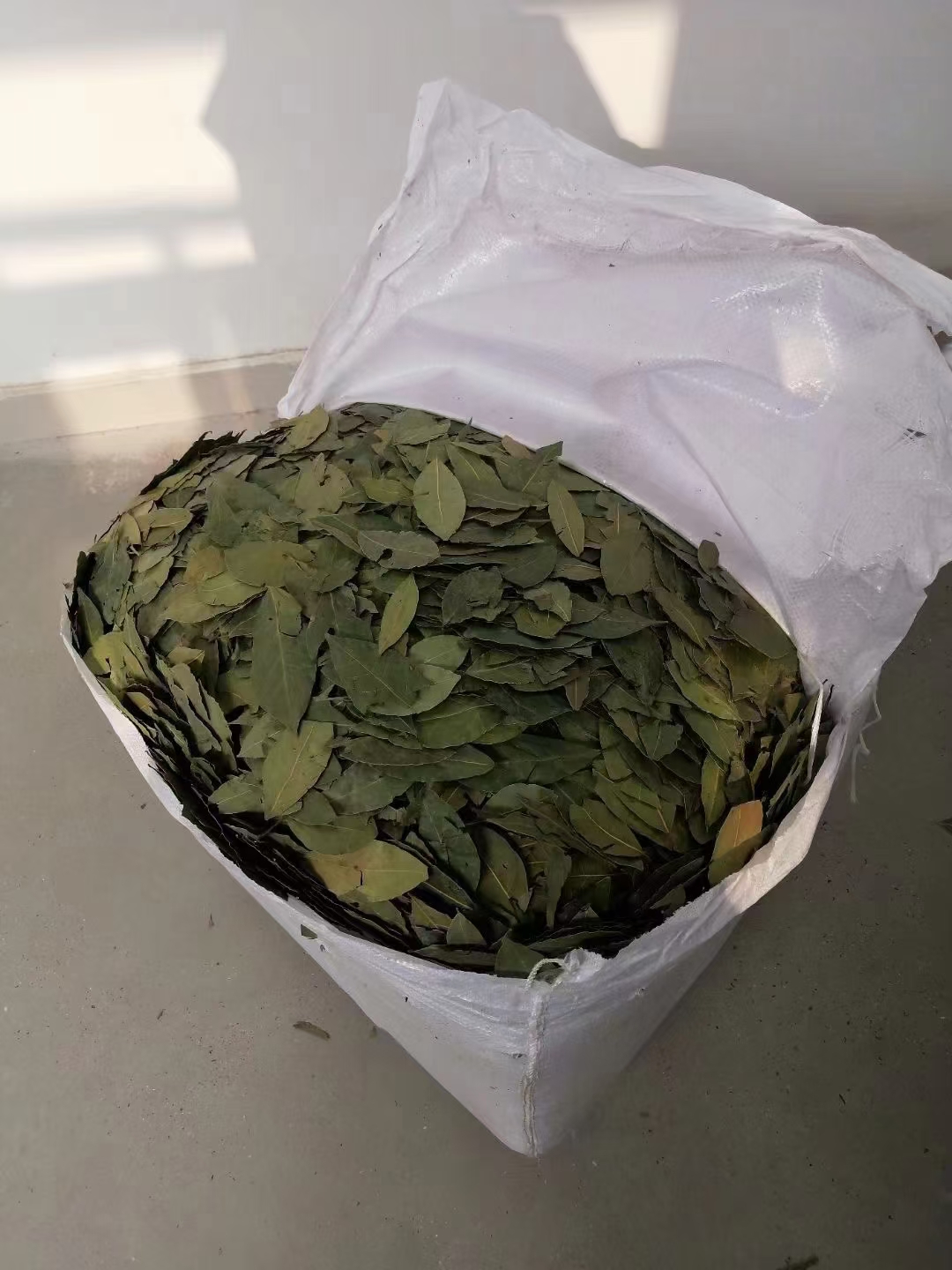 【特绿香叶】火锅底料 专业各种香辛料批发 香料大全可按需配料