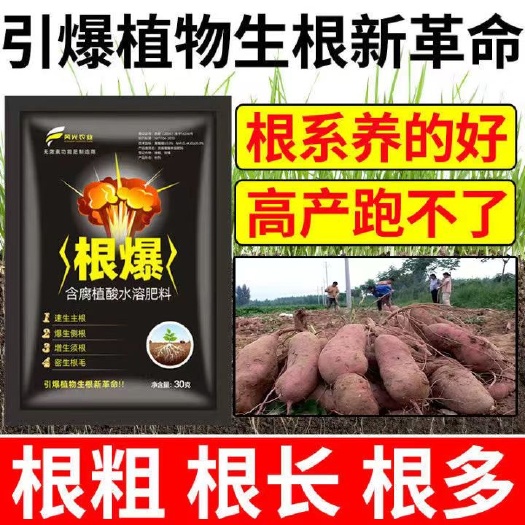 栾川县大量元素水溶肥 红薯固根 生根 壮苗剂 防烂根 使用指导