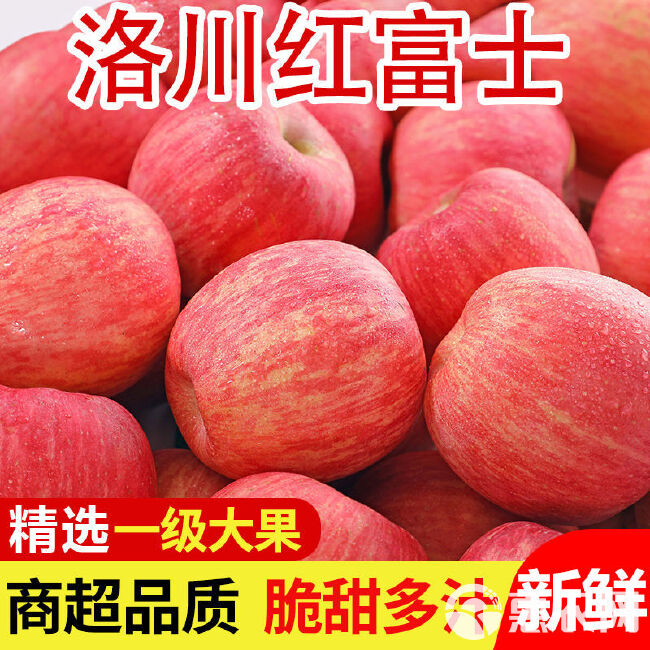 【拒绝假冒】洛川苹果产地发货陕西红富士新鲜脆甜多汁