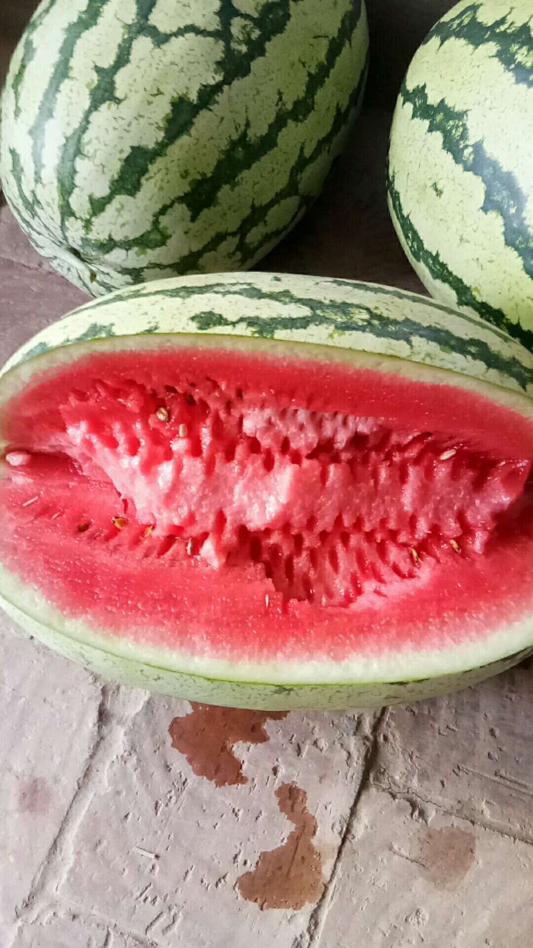 金花西瓜石头瓜代发代买