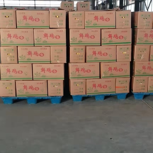 邱县普通鸡蛋