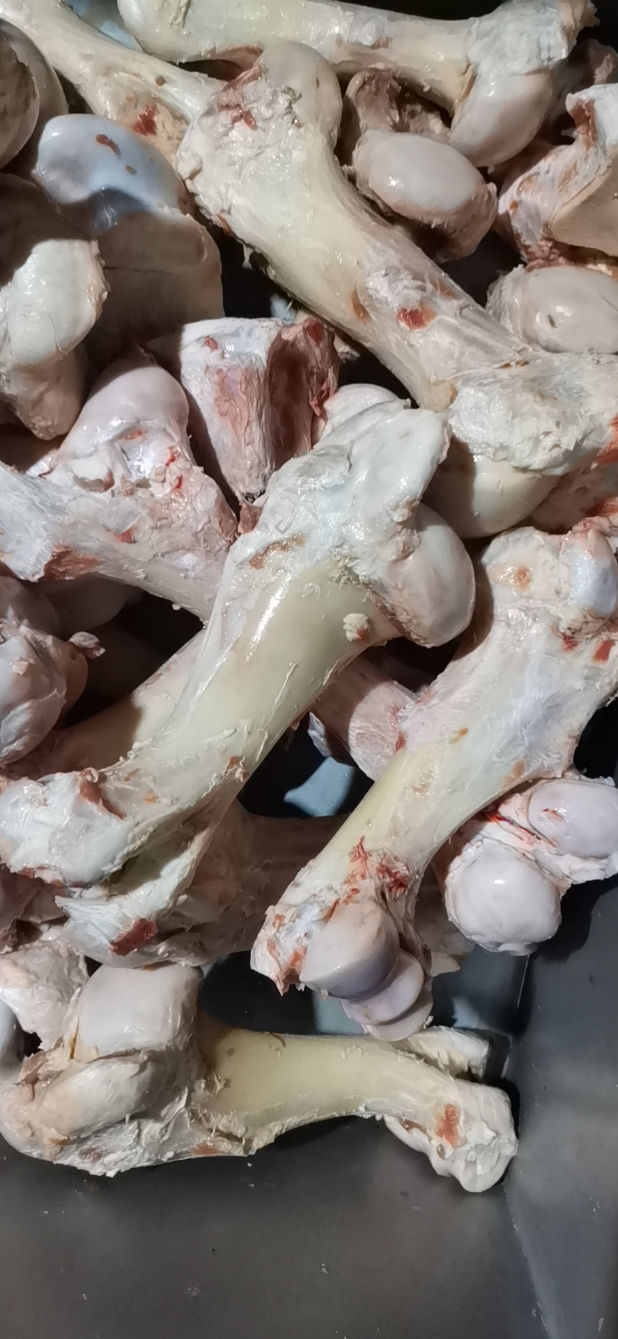 纯干圆棒，牛棒骨