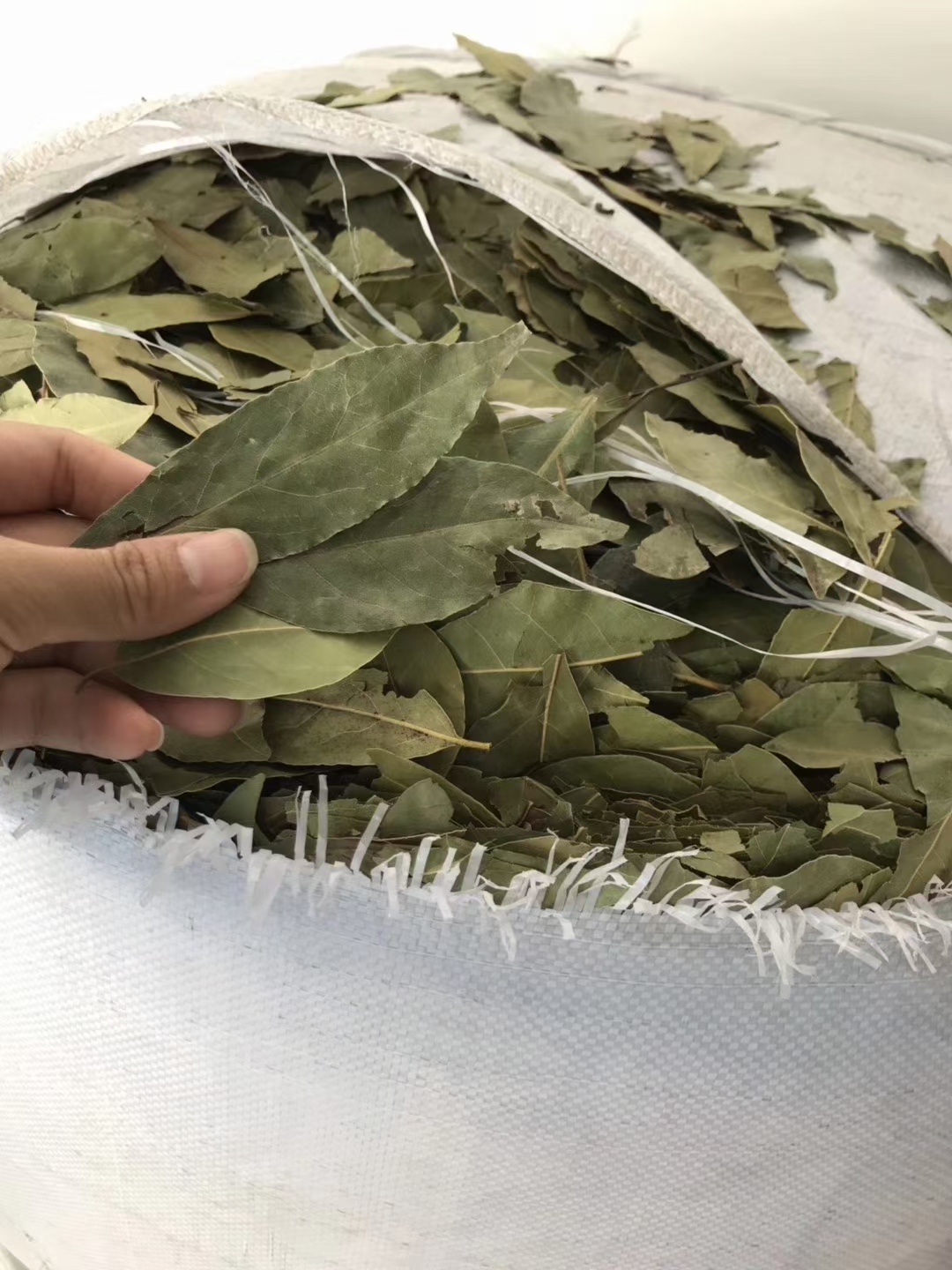 【特绿香叶】火锅底料 专业各种香辛料批发 香料大全可按需配料